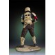 Star Wars Rogue One Collectors Gallery Statue 1/8 Shoretrooper 22 cm